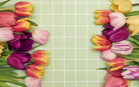 Floral background with copy space. Flat-lay frame of tulips. Womens day, mothers day greeting cardの写真素材