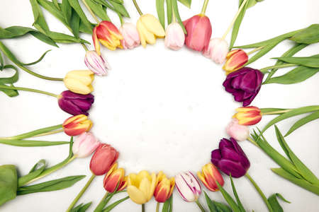 Floral background with copy space. Flat-lay frame of tulips. Womens day, mothers day greeting cardの写真素材