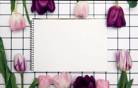 Floral background with copy space. Flat-lay frame of tulips. Womens day, mothers day greeting cardの写真素材