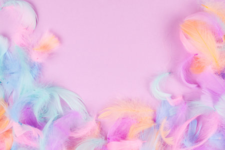 Colorful feather backgroundの写真素材