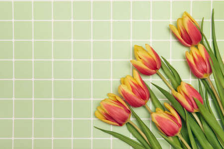 Floral background with copy space. Flat-lay frame of tulips. Womens day, mothers day greeting cardの写真素材