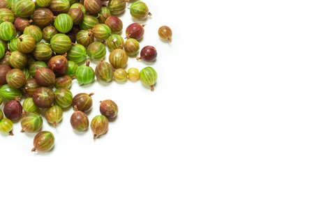 Gooseberry isolated on white background.の写真素材
