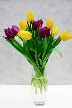 Bouquet of purple and yellow spring tulip flowers in a glass vase on a light background. Mothers Day. International Womens Day.の写真素材