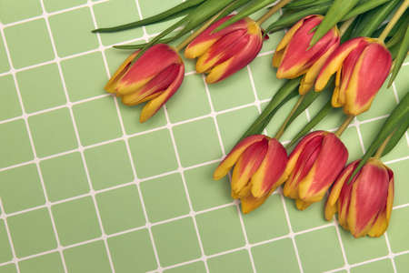 Floral background with copy space. Flat-lay frame of tulips. Womens day, mothers day greeting cardの写真素材