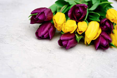 Bouquet of purple and yellow spring tulip flowers on a light background close-up. Copy space. Mothers Day. International Womens Day.の写真素材