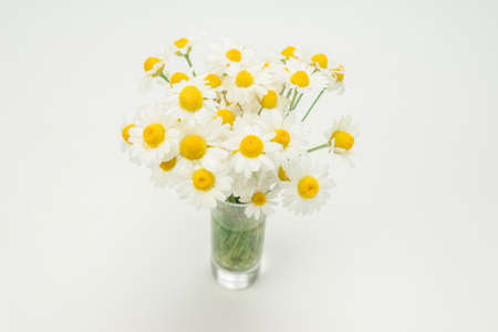 Bouquet of daisies isolated on white.の写真素材