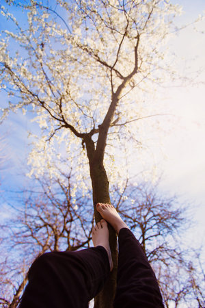 Spring nature