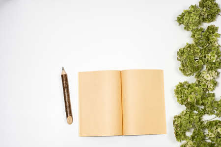 open notebook next to a pencil lie on a background with a green branch. Copy spaceの写真素材