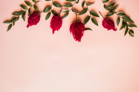 Closeup a fresh flowers and a green leafs lie on a pink background - Copy space