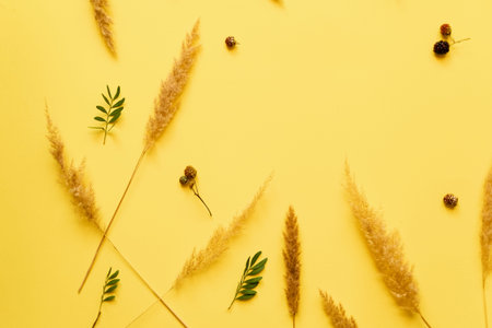 wheat scattered on a yellow background. Copy space