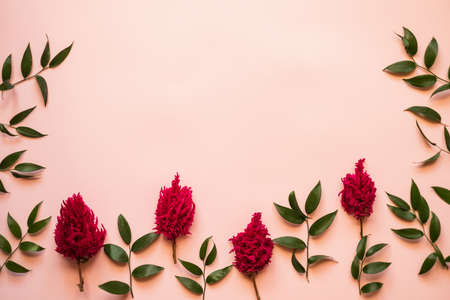 Closeup a fresh flowers and a green leafs lie on a pink background - Copy spaceの写真素材