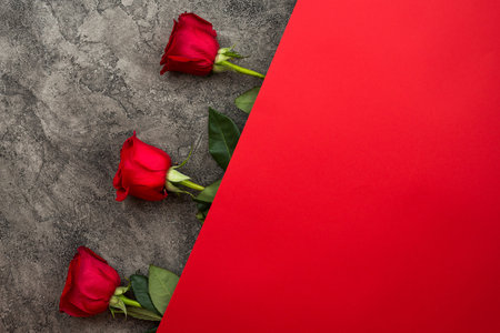 Red roses lie beautifully on a gray and red background.の写真素材
