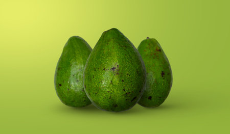 avocado composition for background design