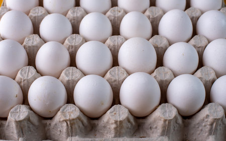 farm fresh white eggs