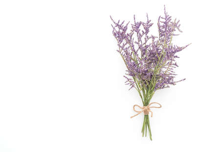 Plastic Caspia Flowersの写真素材