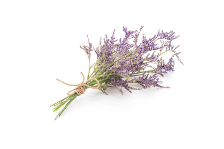 Plastic Caspia Flowersの写真素材