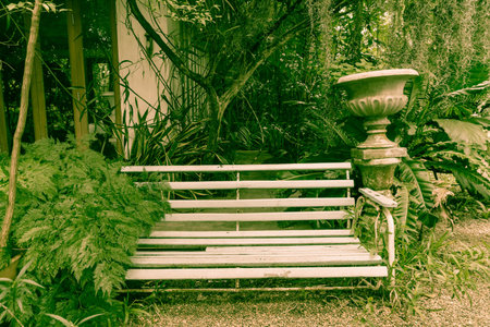 old bench in parkの写真素材