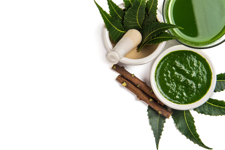 Medicinal Neem leaves in mortar and pestle with neem paste, juice and twigs on white backgroundの写真素材