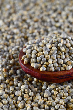 close up of Pearl Millet (Bajra) with wooden spoon.の写真素材
