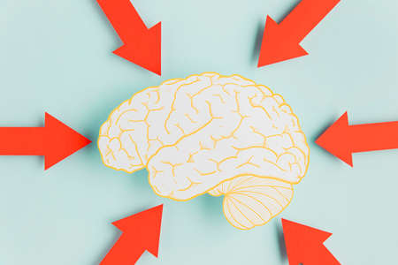 paper brain with arrowsの写真素材