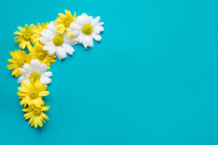 pretty daisy compositionの写真素材