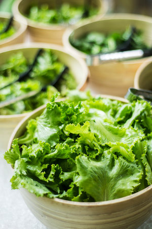 bowls of fresh organic lettuce leaves in salad bar displayの写真素材