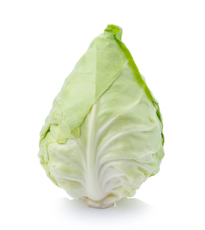 green cabbage isolated on whiteの写真素材