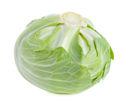 cabbage on white backgroundの写真素材