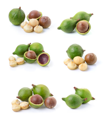 macadamia nuts on white backgroundの写真素材