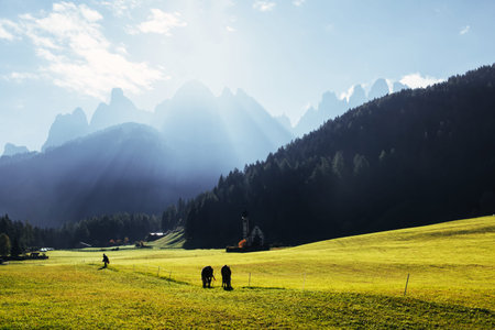 Perfect green grass. Awesome landscape. Farm with beautiful cows and chapel near the forest....