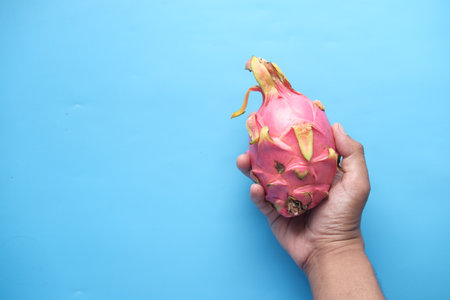 top view of hand hold a dragon fruit on blue .の写真素材