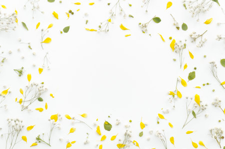 decorative frame flowers. Resolution and high quality beautiful photoの写真素材