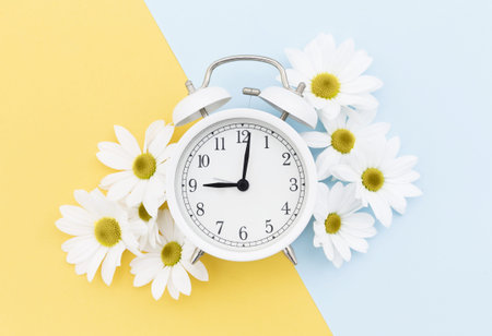 top view arrangement with clock daisies. Resolution and high quality beautiful photoの写真素材