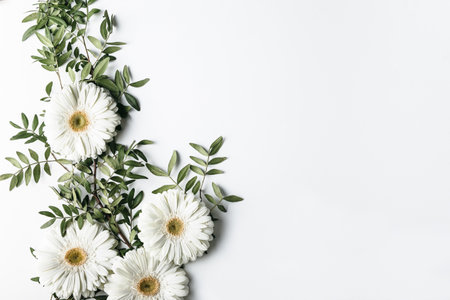 top view white daisies. Resolution and high quality beautiful photoの写真素材