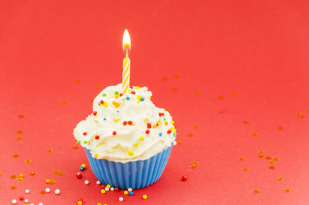 birthday cupcake with candle. Resolution and high quality beautiful photo