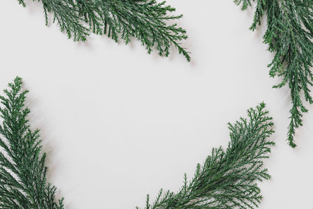 green branches white table