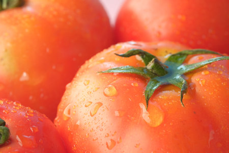 fresh tomato with water drop close up ,の写真素材