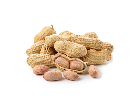peanut on white background