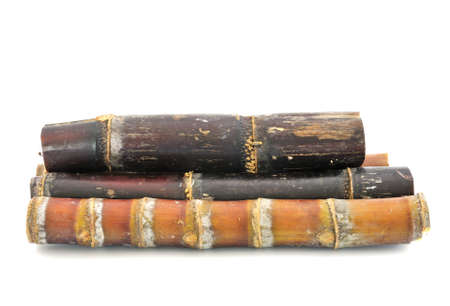 Sugar cane over white backgroundの写真素材