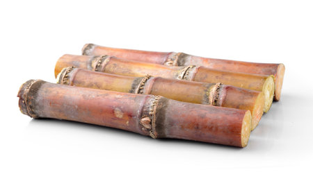 Sugarcane isolated on white backgroundの写真素材
