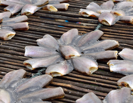 Sun dried salid fish before cooking sell in the market in thailandの写真素材