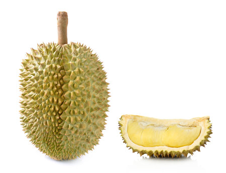 durian isolated on white backgroundの写真素材