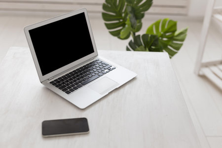 minimalist office high view laptop monstera. Resolution and high quality beautiful photo