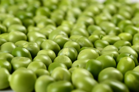 Fresh Green Pea in white plate on white backgroundの写真素材
