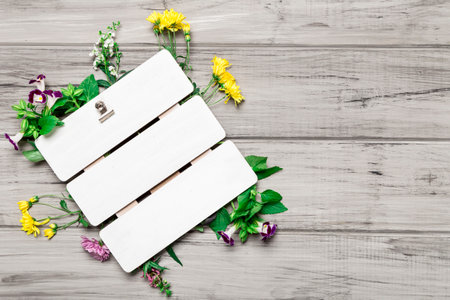 blank board beautiful flowersの写真素材