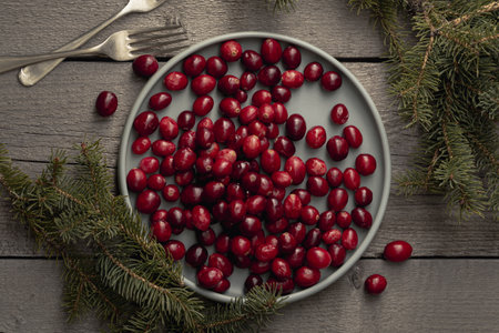 flat lay plate cranberries with pine forks. Resolution and high quality beautiful photoの写真素材