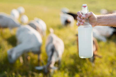 close up man with bottle goat milkの写真素材