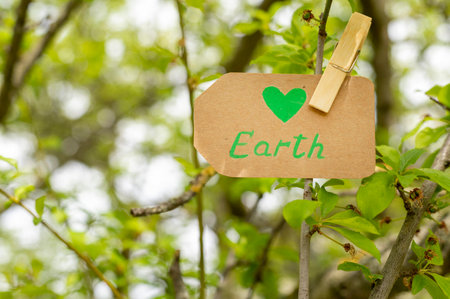 earth sign treeの写真素材