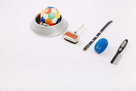 collection pet supplies. High quality and resolution beautiful photo conceptの写真素材