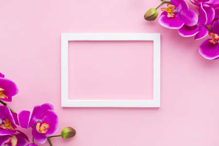 arrangement orchid flowers pink copy space backgroundの写真素材